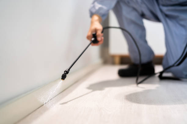 Licensed Rodent Control service in North Bend, OH - Nex Pest Control