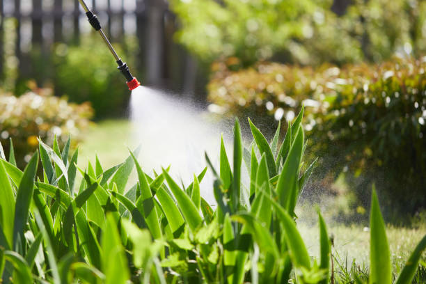 24/7 Emergency Rodent Control experts in North Bend, OH