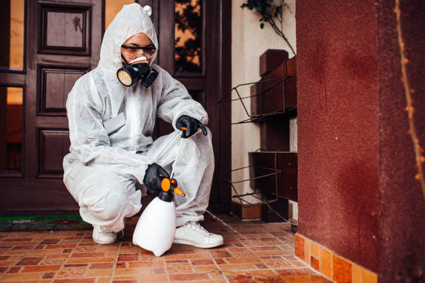 Reliable Rodent Control contractor in North Bend, OH by Nex Pest Control